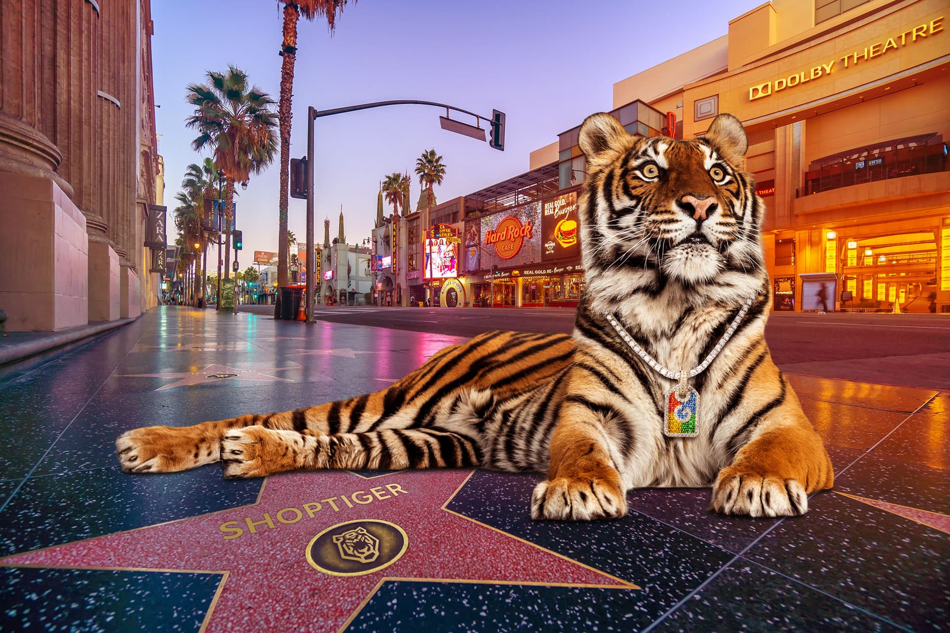 Shoptiger in Los Angeles